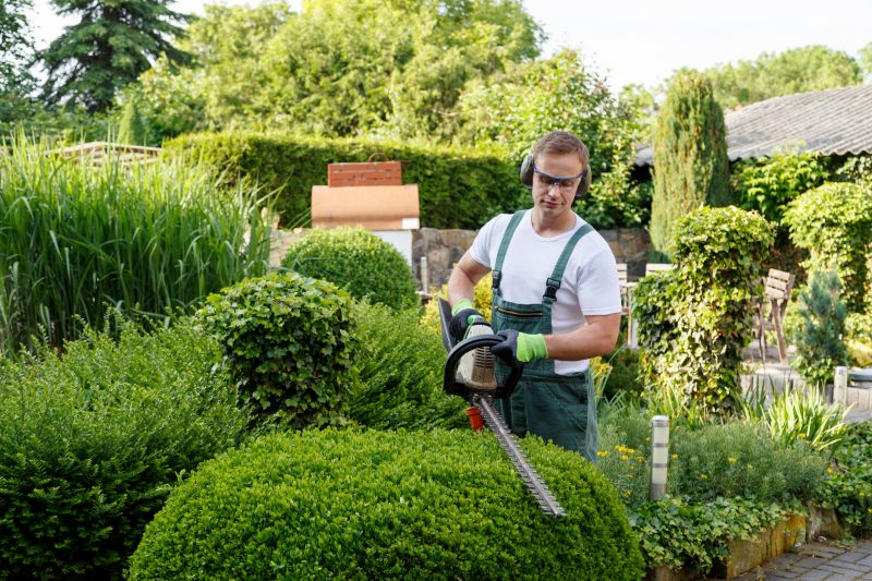 Juniper Bush Trimming
