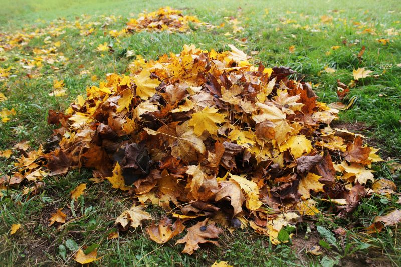 Mulching Leaves