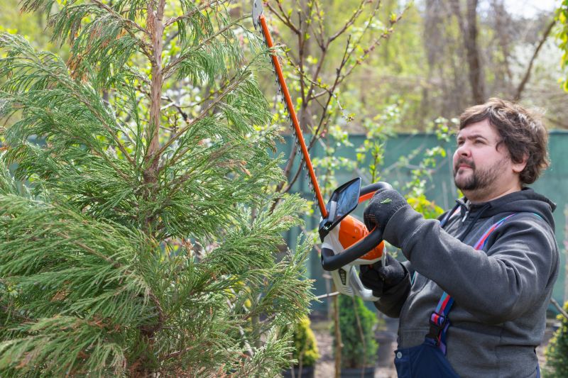 Juniper Bush Trimming