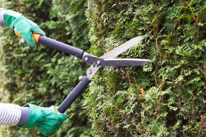 Tools for Bush Trimming