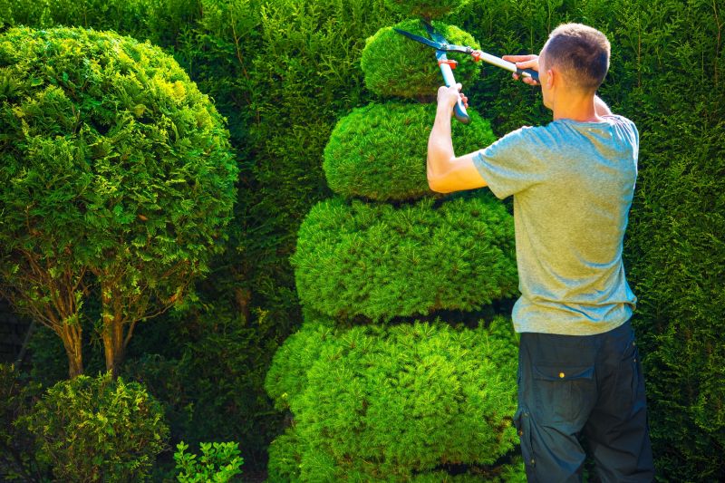 Shaping Shrubs for Aesthetic Appeal